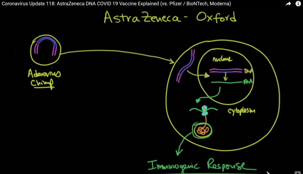 How the AstraZeneca Covid 19 Vaccine Works
https://youtu.be/GOq8-FR8s1E?t=151